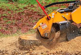 Best Tree and Shrub Care  in Groesbeck, OH