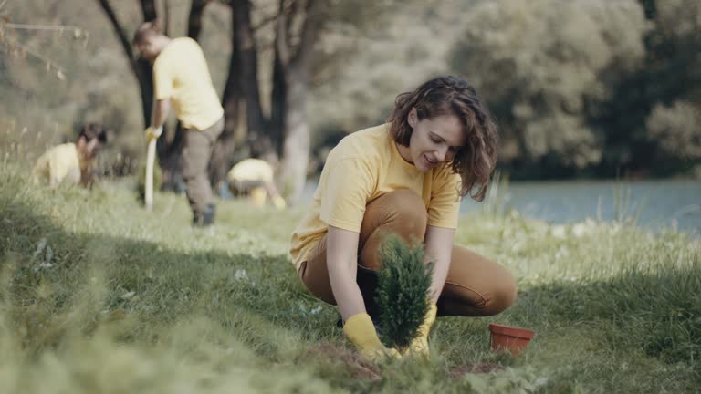 Best Root Management and Removal  in Groesbeck, OH